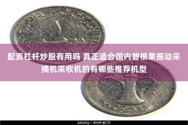 配资杠杆炒股有用吗 真正适合国内碧根果振动采摘机采收机的有哪些推荐机型