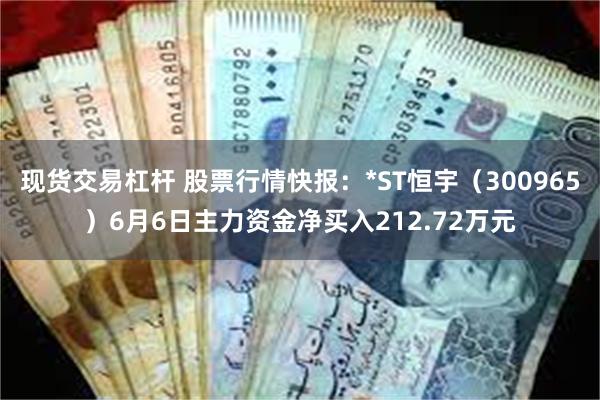 现货交易杠杆 股票行情快报：*ST恒宇（300965）6月6日主力资金净买入212.72万元