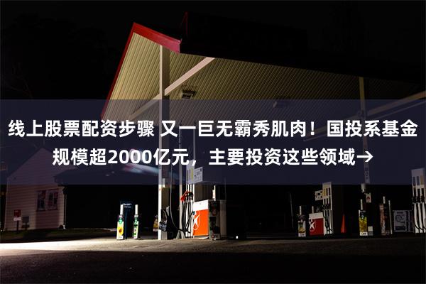 线上股票配资步骤 又一巨无霸秀肌肉！国投系基金规模超2000亿元，主要投资这些领域→