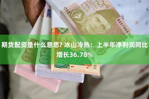 期货配资是什么意思? 冰山冷热：上半年净利润同比增长36.78%