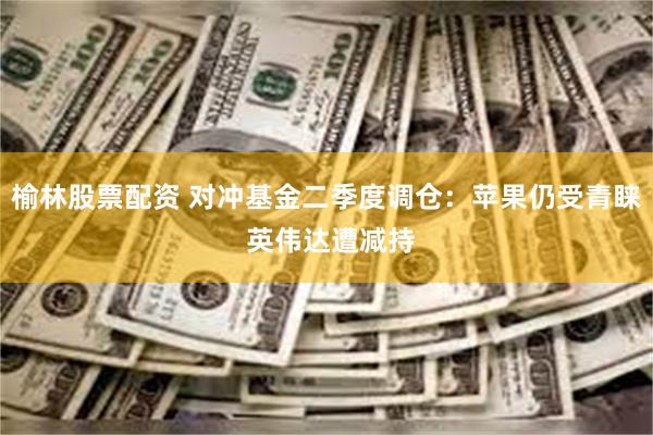 榆林股票配资 对冲基金二季度调仓：苹果仍受青睐 英伟达遭减持