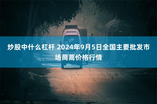 炒股中什么杠杆 2024年9月5日全国主要批发市场茼蒿价格行情