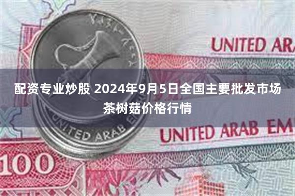 配资专业炒股 2024年9月5日全国主要批发市场茶树菇价格行情