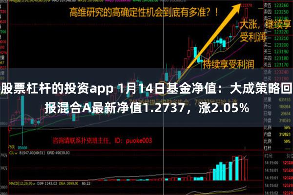 股票杠杆的投资app 1月14日基金净值：大成策略回报混合A最新净值1.2737，涨2.05%