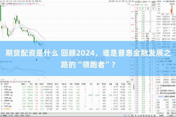 期货配资是什么 回顾2024，谁是普惠金融发展之路的“领跑者”？