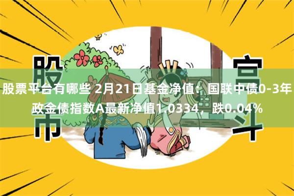 股票平台有哪些 2月21日基金净值：国联中债0-3年政金债指数A最新净值1.0334，跌0.04%